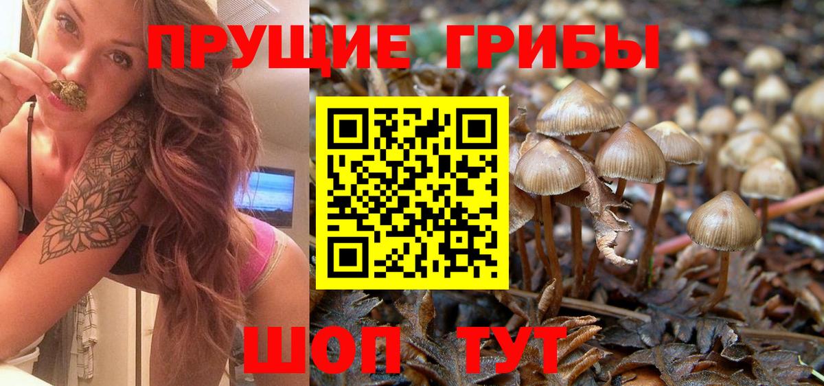 Стрежевой  Галлюциногенные грибы GOLDEN TEACHER  Вход с VPN 