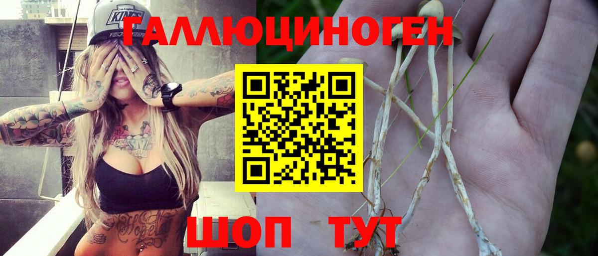 ТГК  Стрежевой  КОКАИН  МЕТАМФЕТАМИН  Вход с VPN  ГАШИШ  МЕФ кристаллы  Каннабис 